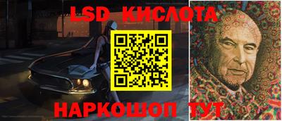 apvp Канаш